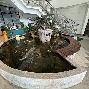 Fish Pond - Admin Office