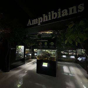 Rimba Biodiversiti Building - Amphibians