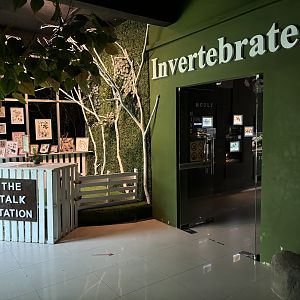 Rimba Biodiversiti Building - Invertebrates
