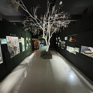 Rimba Biodiversiti Building