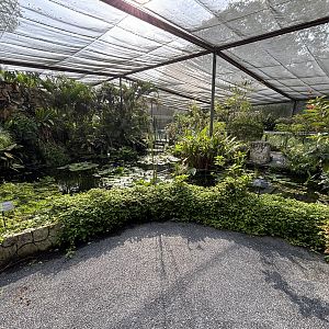 Walk-through Garden + Aviary