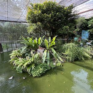 Walk-through Garden + Aviary