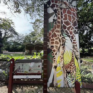 Giraffe Sign