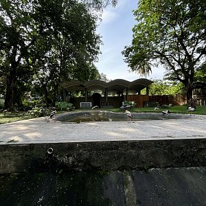 Malayan Tapir Exhibit #1 (ex-elephant)