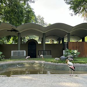 Malayan Tapir Exhibit #1 (ex-elephant)