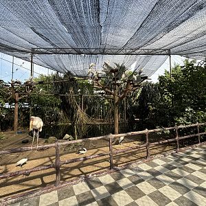 Walk-through Aviary #1