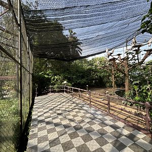 Walk-through Aviary #1