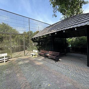 Lesser Mouse-deer/Crestless Fireback/Common Myna/Emerald Dove Exhibit