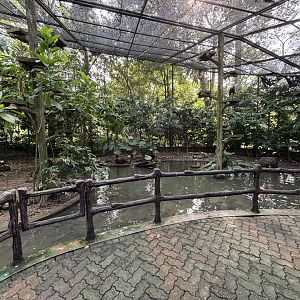 Walk-through Aviary #2