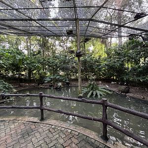 Walk-through Aviary #2