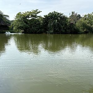 Zoo Lake