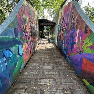 Malayan Tiger Exhibit- visitor pathway