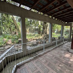 Malayan Tiger Exhibit #1