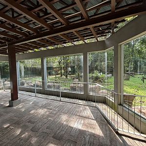 Malayan Tiger Exhibit #2