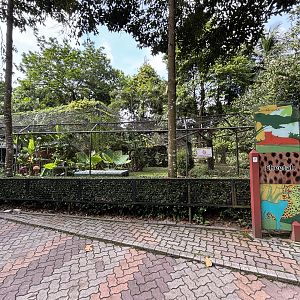 King Cheetah Exhibit