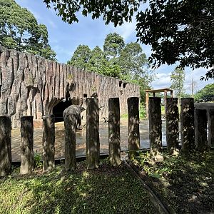 Asian Elephant Exhibit