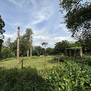 Asian Elephant Exhibit