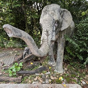 Elephant Statue + Wild Monitor Lizard