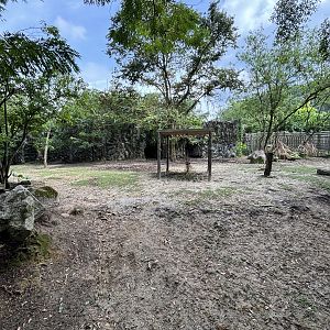 Javan Rusa Deer Exhibit #1