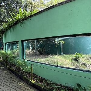 Striped Hyena Exhibit #2