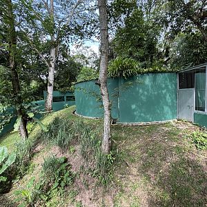 Striped Hyena Exhibit #2