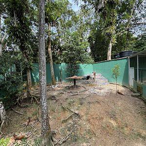 Agile Wallaby Exhibit #1