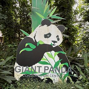 Giant Panda Sign