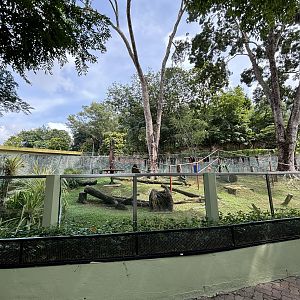 Chimpanzee Exhibit