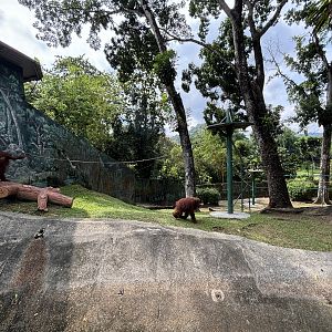 Orangutan Exhibit #1 - Sumatran