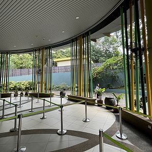 Giant Panda Conservation Center