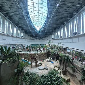 Giant Panda Conservation Center