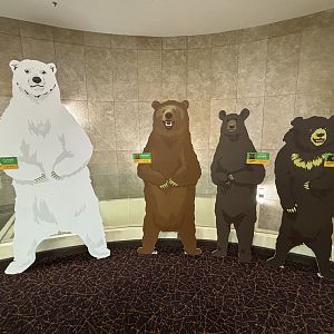 Giant Panda Conservation Center