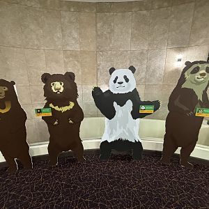 Giant Panda Conservation Center