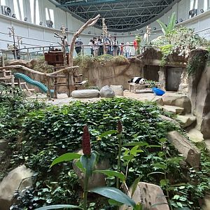 Giant Panda Conservation Center