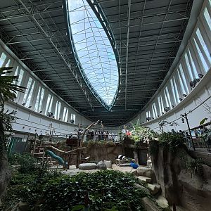 Giant Panda Conservation Center