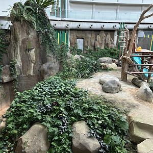 Giant Panda Conservation Center