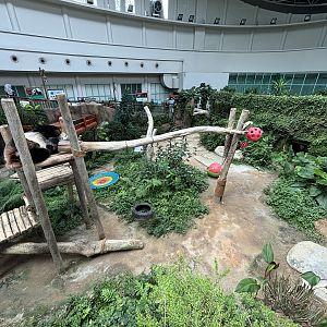 Giant Panda Conservation Center