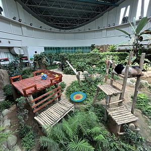 Giant Panda Conservation Center