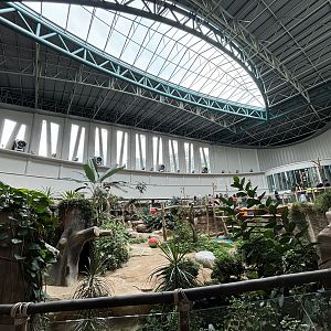 Giant Panda Conservation Center