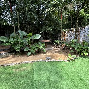 Dusky Pademelon Exhibit