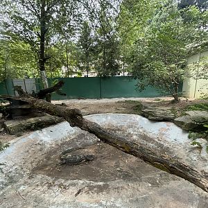 Asian Water Monitor Exhibit