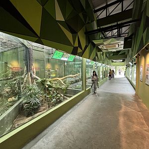 Rimba Reptilia Building