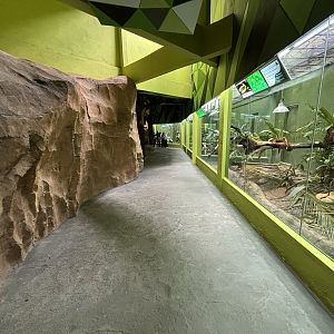 Rimba Reptilia Building