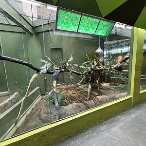 Rimba Reptilia Building