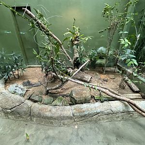 Clouded Monitor Exhibit