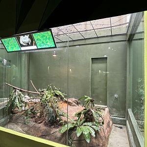 Calico Reticulated Python Exhibit