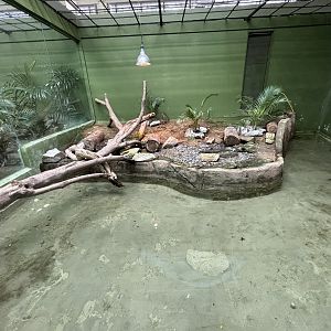 Mata Mata/Reticulated Python/Snake-necked Turtle Exhibit