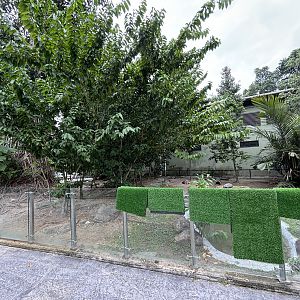 Asian Brown + African Spurred Tortoise Exhibit
