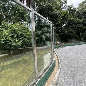 False Gharial Exhibit #1