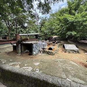 Malayan Porcupine Exhibit